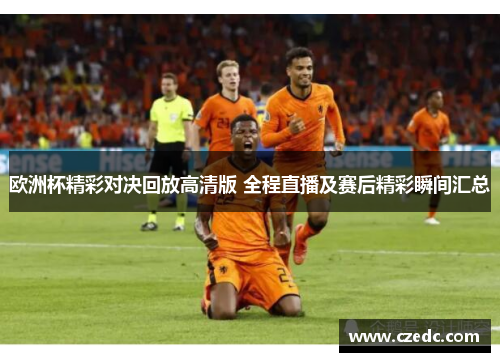 欧洲杯精彩对决回放高清版 全程直播及赛后精彩瞬间汇总